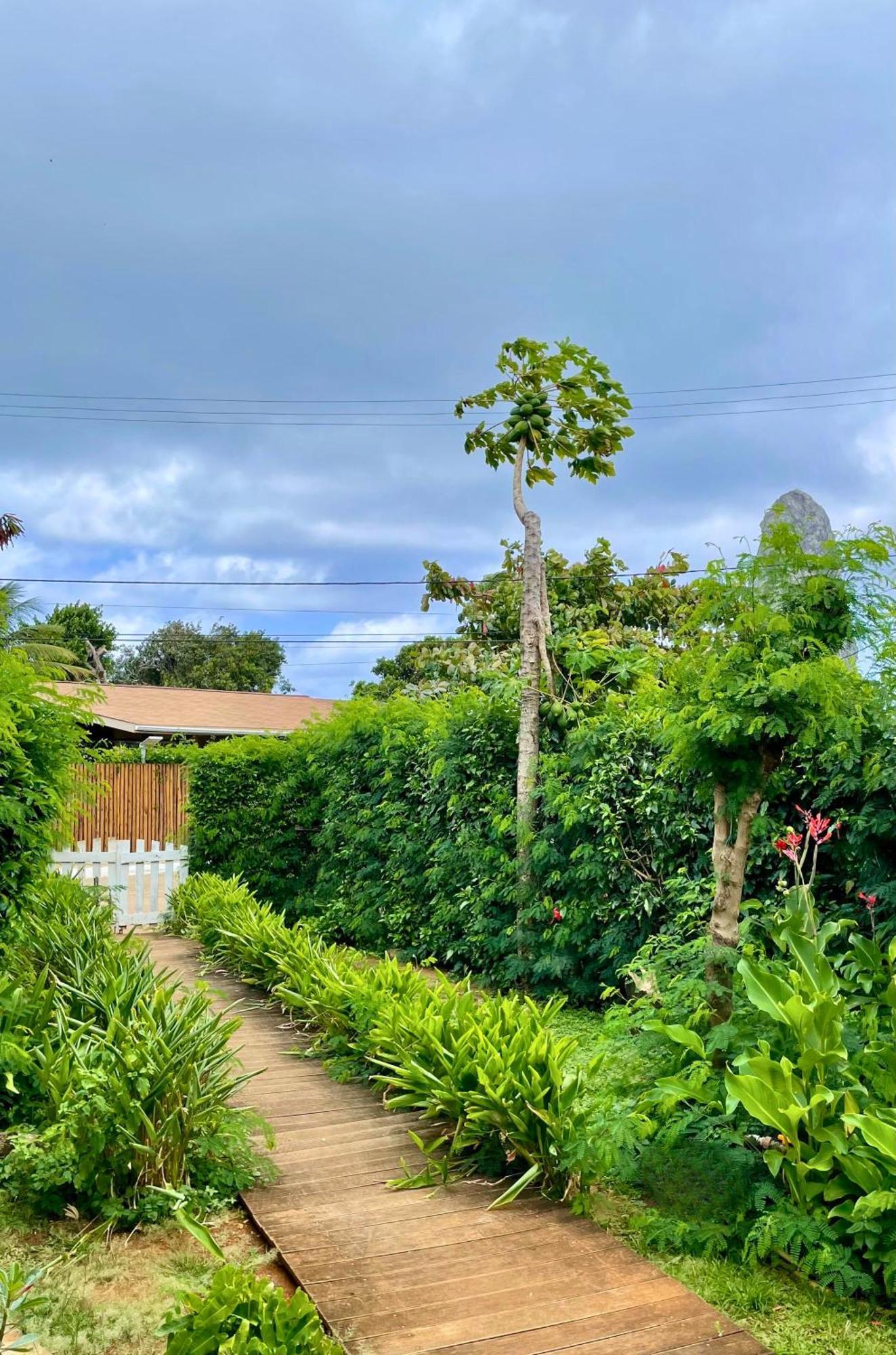 Casa Do Anjo Hotel Fernando de Noronha Exterior photo
